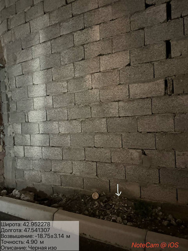 photo 50 2025 10 05 04 05 03.jpg