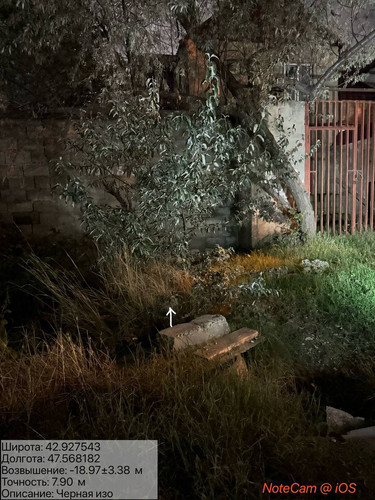 photo 30 2025 10 05 04 05 03.jpg