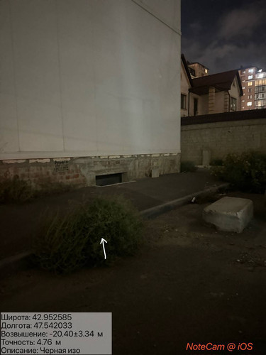 photo 48 2025 10 05 04 05 03.jpg