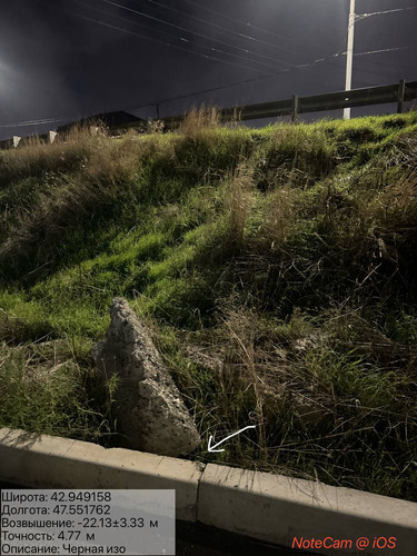 photo 45 2025 10 05 04 05 03.jpg