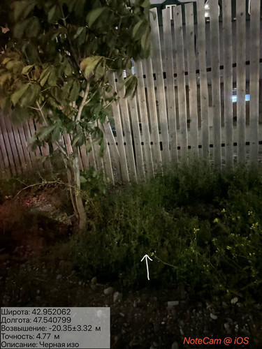 photo 49 2025 10 05 04 05 03.jpg