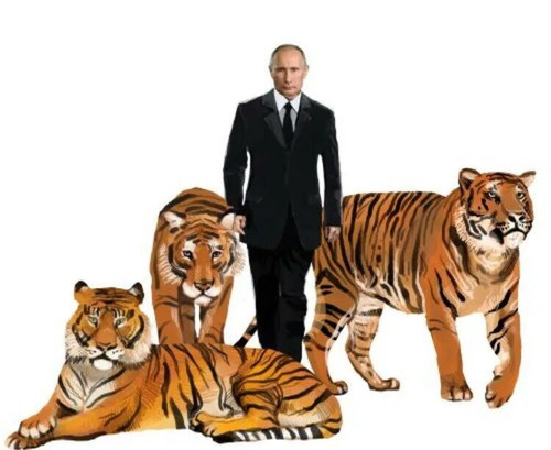 https://iili.io/KXHtDU7.md.jpg