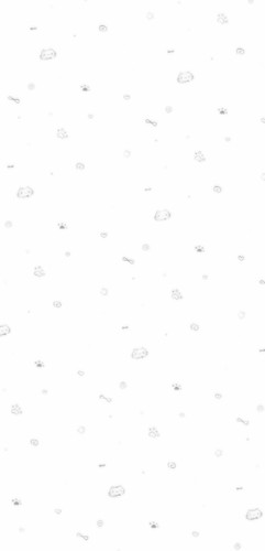 retouch 2025100505413442.jpg