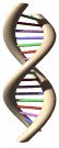 DNA%20013.gif