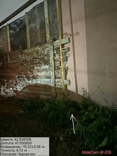 photo 12 2025 10 06 02 46 21.jpg