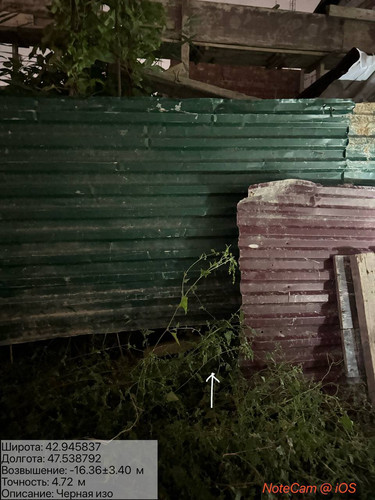 photo 26 2025 10 06 02 46 21.jpg