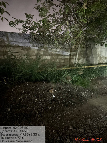 photo 28 2025 10 06 02 46 21.jpg