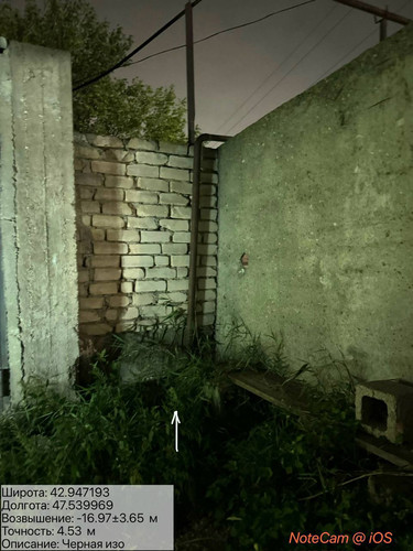 photo 30 2025 10 06 02 46 21.jpg