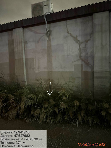 photo 19 2025 10 06 02 46 21.jpg