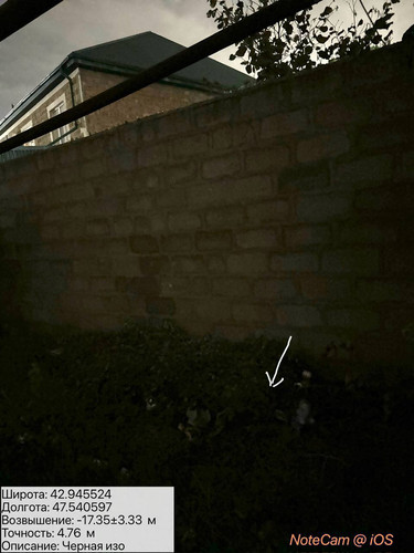 photo 27 2025 10 06 02 46 21.jpg