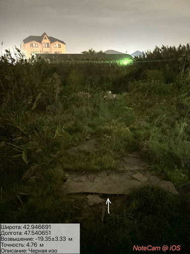 photo 29 2025 10 06 02 46 21.jpg