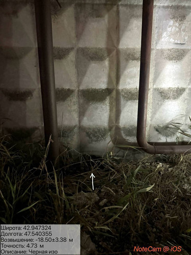 photo 31 2025 10 06 02 46 21.jpg