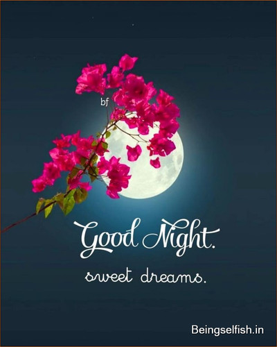 good night images149.jpg