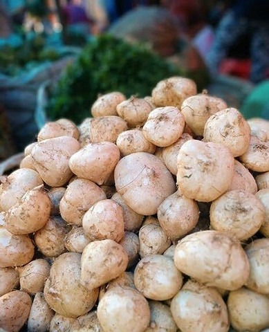50 shankh aloo seed gachwala ori (1).jpg