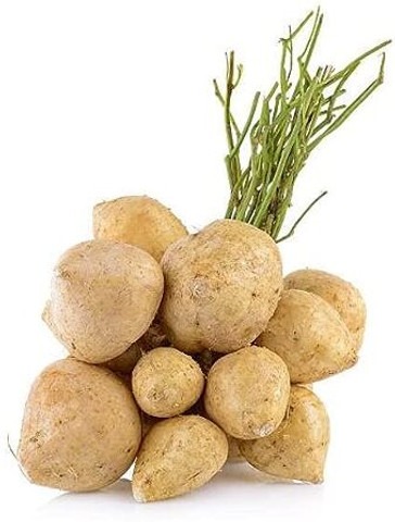 50 shankh aloo seed gachwala ori.jpg