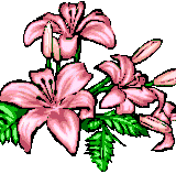 2pinkblooms