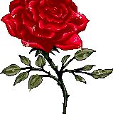 died rosarossa