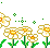 daisies2