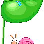 caracolito
