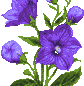 item25