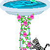 MyBirdbathDebiM
