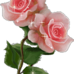 pinkyrose