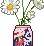 lacroixdaisy