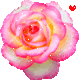 tumblr lkgxo97XaF1qb7h7x540