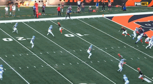 GIF 10 5 2025 4 39 16 PM.gif