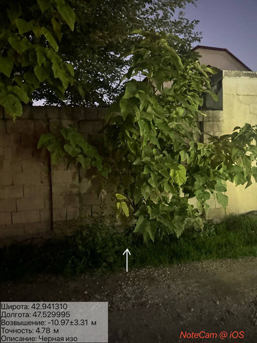 photo 2025 10 06 03 26 13.jpg