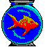 fishbowlbutton