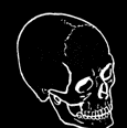 2552719