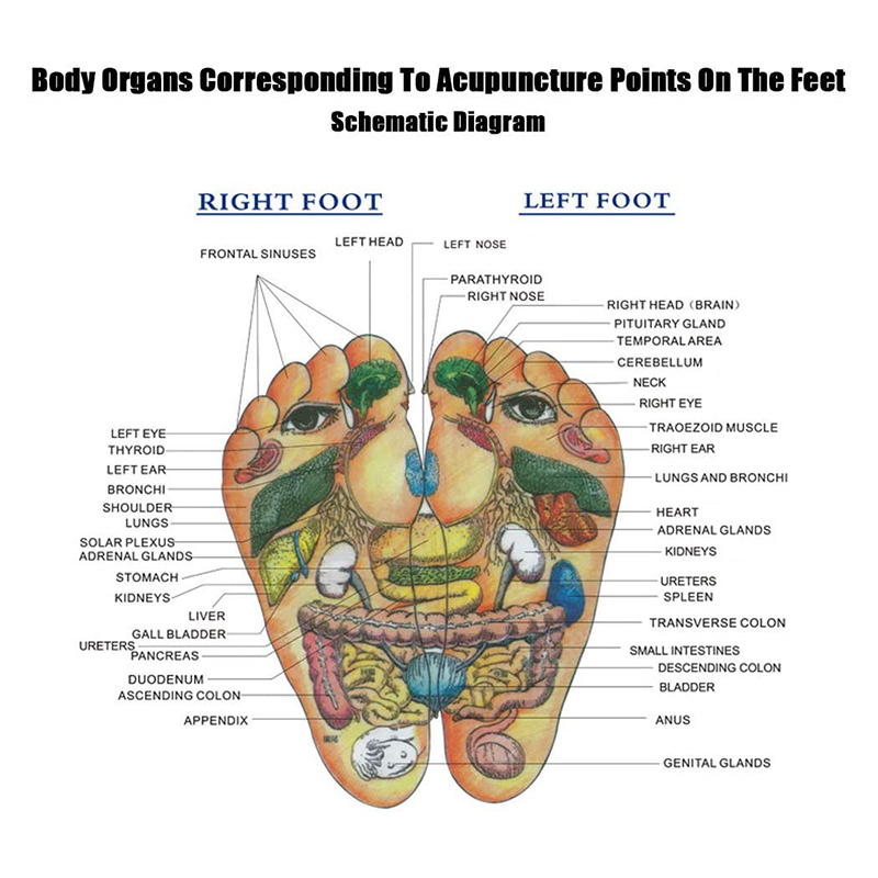 Massage Slipper Image 3