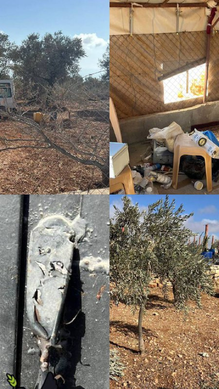 في محاولات متكررة لفرض السيطرة على الأراضي الزراعية، قام مستوطنون بقطع الشيك المحيط بأرض المواطن نزيه معدي في قرية كفر مالك شرق رام الله، وسرقة بعض ال...