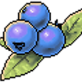 2blueberries