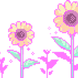 3sunflowers