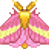 darosymaple sm