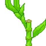 luckybamboo