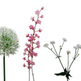 tumblr inline peln9aJsIN1synnum 540