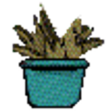 plant3 1