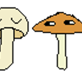 tumblr pno310X5GF1y0vk45o1 250