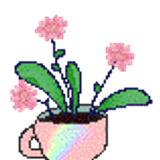 plant2 1