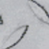 kbtvrqA