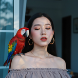 generated image resized 1759651642672.png