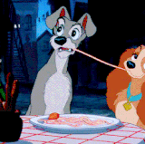 La dama y el vagabundo (1)