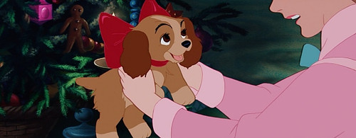 La dama y el vagabundo (3).jpg