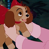 La dama y el vagabundo (3)