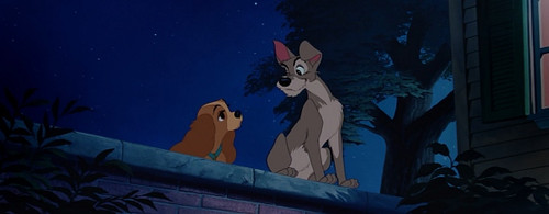 La dama y el vagabundo (6).jpg