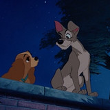 La dama y el vagabundo (6)