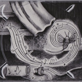The Darkening scale The entomology of sound 5